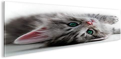 islandburner Bild Bilder auf Leinwand Kätzchen Katze mit grünen Augen Panorama XXL Poster Leinwandbi