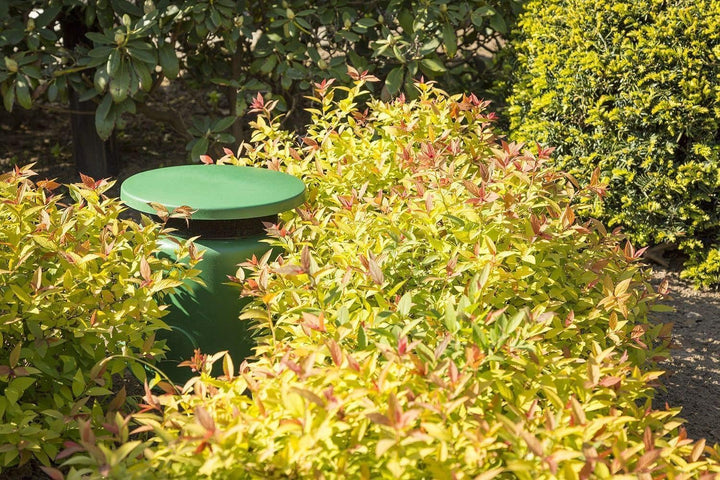 Power Dynamics Gartenlautsprecher Set wetterfest – 2X Outdoor Lautsprecher Grün 360° Sound & Bluetoo