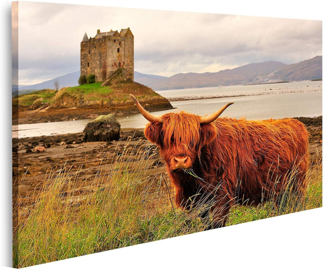 islandburner Bild auf Leinwand Hochlandkuh Loch Linnhe Schottland Bilder Wandbilder Poster Leinwand
