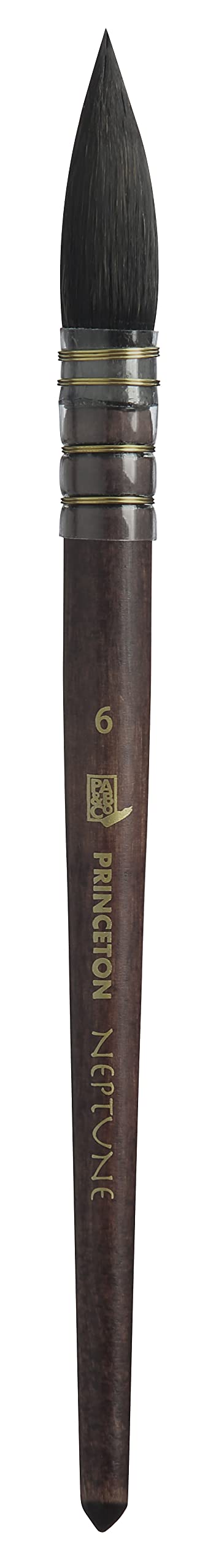 Princeton Pri Neptune Syn Sh Federkiel, Grösse 6