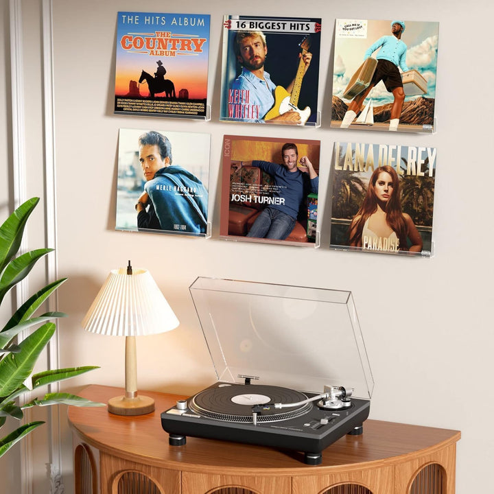 HIIMIEI Vinyl Wandhalterung 6 er für Platten und Fotos, 30,5 x 4,3 x 4,5 cm Schallplatten Wandhalter