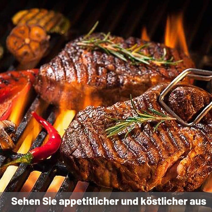 Denmay 38cm x 28.6cm Grillrost Gusseisen 7522 für Weber Spirit Classic E/S 200 210 (mit Seitlichen B