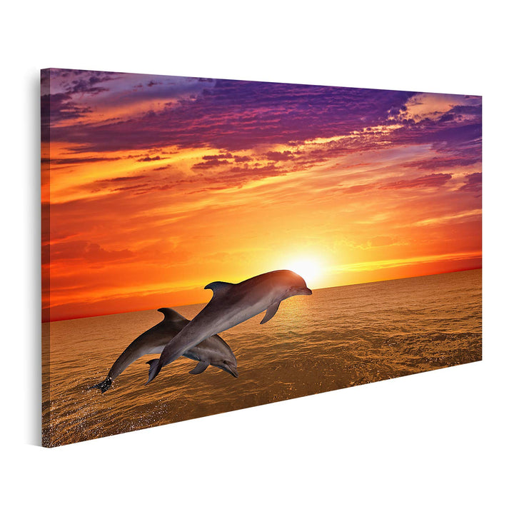 islandburner Bild auf Leinwand Springende Delfine Sonnenuntergang Meer Bilder Wandbilder Poster Lein