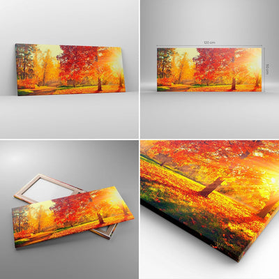 Wandbilder Dekoration Wohnzimmer Park Herbst Baum Panorama Bilder auf Leinwand 120x50cm Leinwandbild