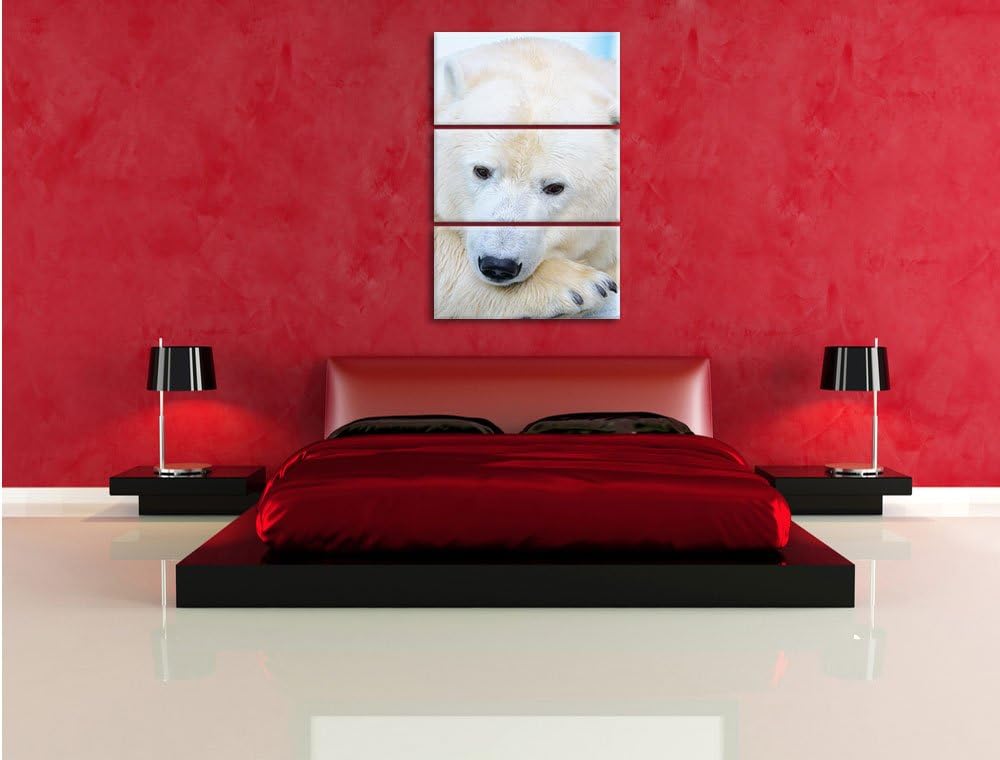 Pixxprint Nachdenklicher Eisbär 3-Teiler Leinwandbild 120x80 Bild auf Leinwand
