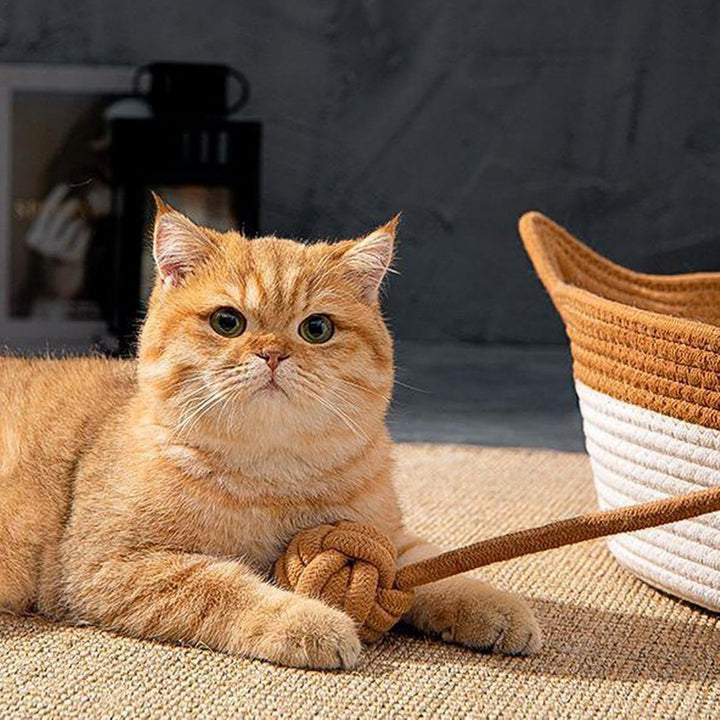 Handgewebtes Katzenbett, Verschleissfestes Katzenbett Katzen Schreibtischkorb Mit Niedlichem Ohr Kat