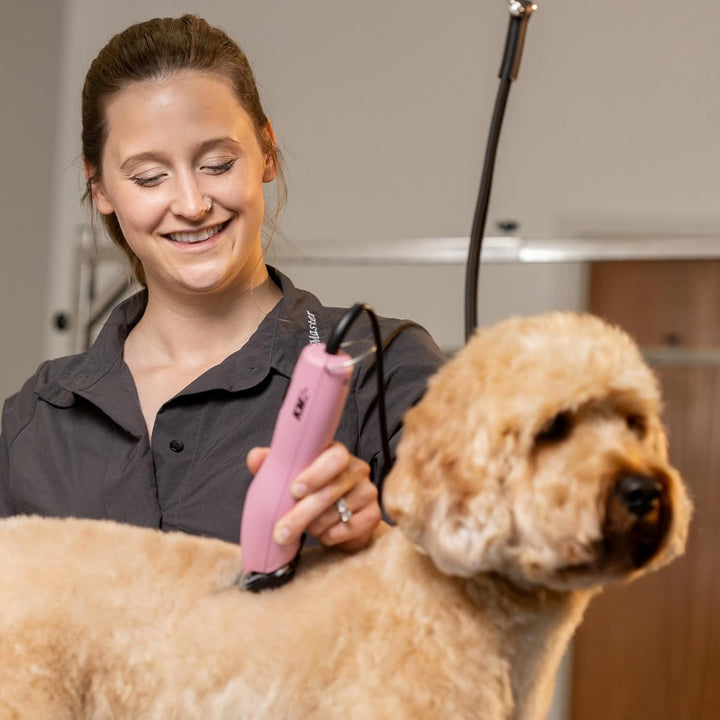 Agrarzone Edition Wahl KM2+ Hunde Schermaschine mit Aufsteckkamm-Set - Leistungsstarke Profi Tierhaa