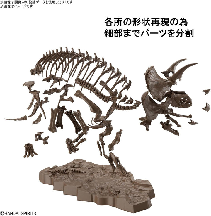 BANDAI Hobby - 1/32 imaginäres Skelett Triceratops