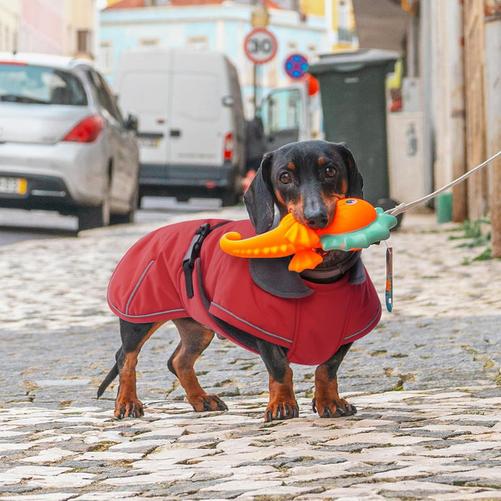 Hundemantel Dackel, Winddichter Wasserdichter Wintermantel Für Dackel Hunde, Hundejacke Für Grosse H