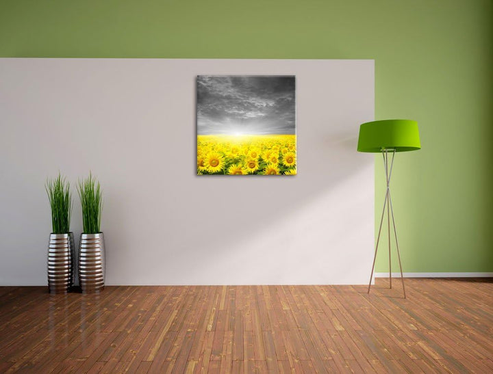 Pixxprint Sonnenblumen Sonnenuntergang als Leinwandbild/Grösse: 70x70 cm/Wandbild/Kunstdruck/fertig