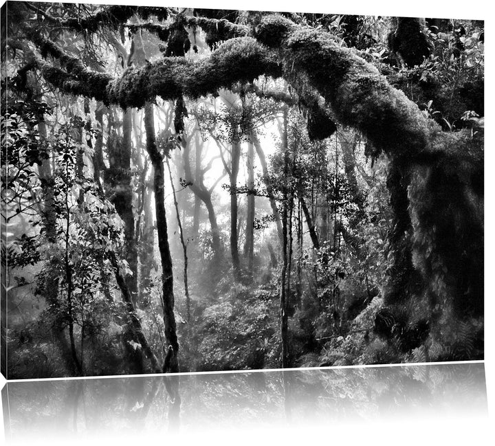 Pixxprint Regenwald Bäume See / 100x70cm Leinwandbild bespannt auf Holzrahmen/Wandbild Kunstdruck De