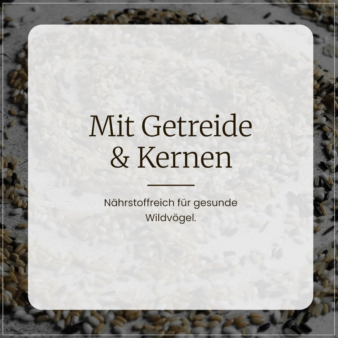 ERDTMANNS - 100 Meisenknödel für Wildvögel mit Netz im Eimer