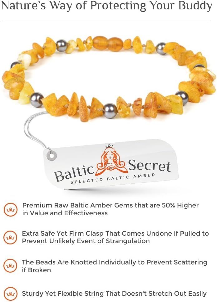 Baltic Secret Bernsteinkette Hund, Bernsteinhalsband Hunde mit Perlen, Zeckenschutz Katze, Flohhalsb