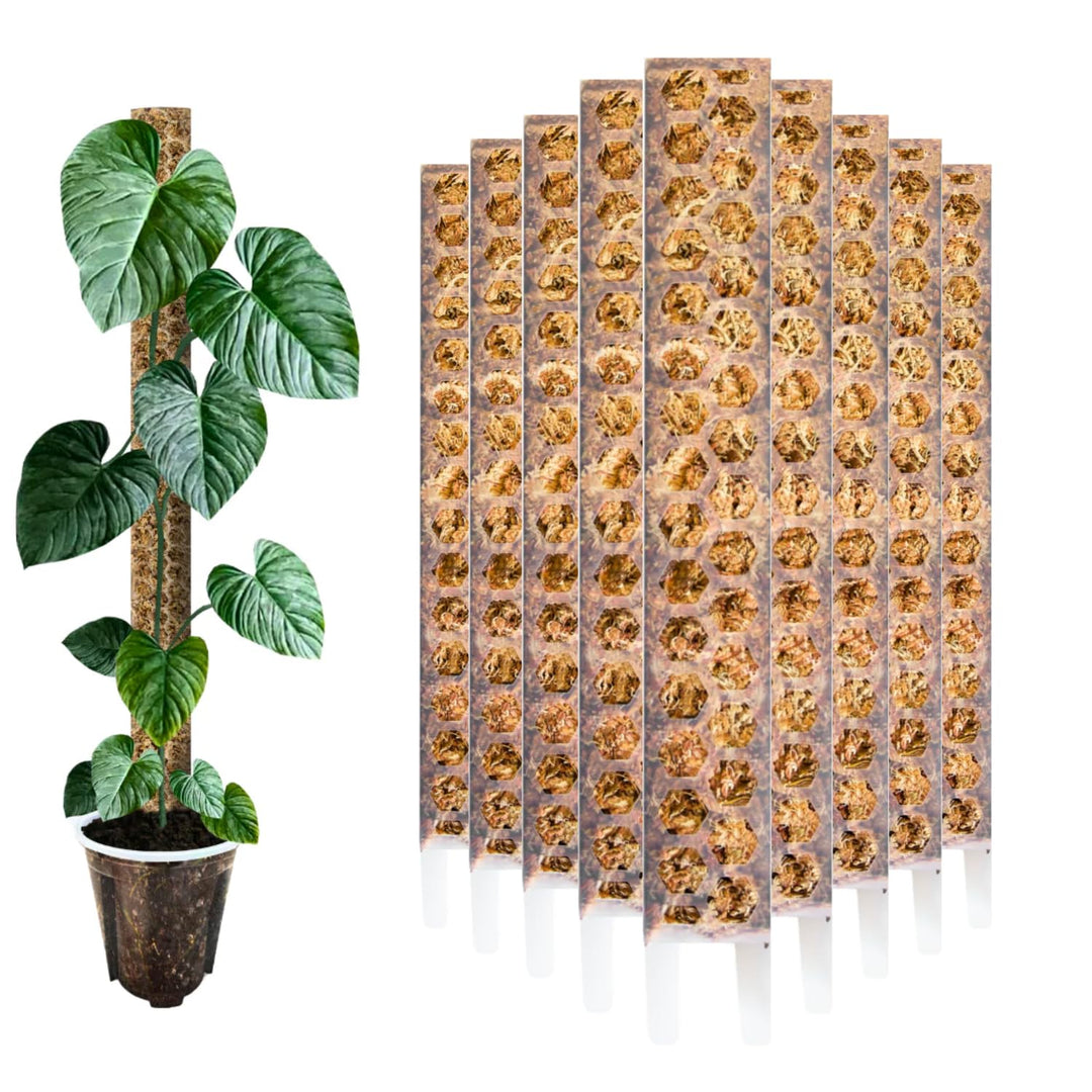 Nils der Pflanzenfreund® Moosstab [PlantScraper] 30 cm (S) / 3 Stück/Matt | Pflanzenstab | Moss Pole