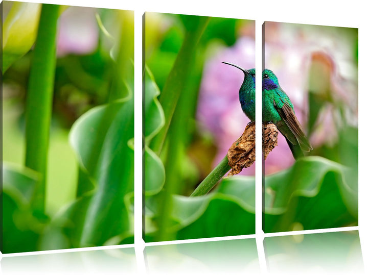 Pixxprint Kolibri in seinem Lebensraum als Leinwandbild/Grösse: 3 Teilig (120x80) / Wandbild/Kunstdr