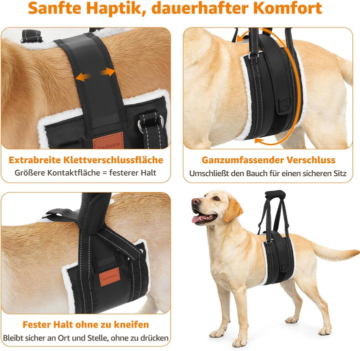 LOOBANI Hunde Tragehilfe mit Klettverschluss, verstellbare Gehhilfe für Hunde, weicher Hundetragegur