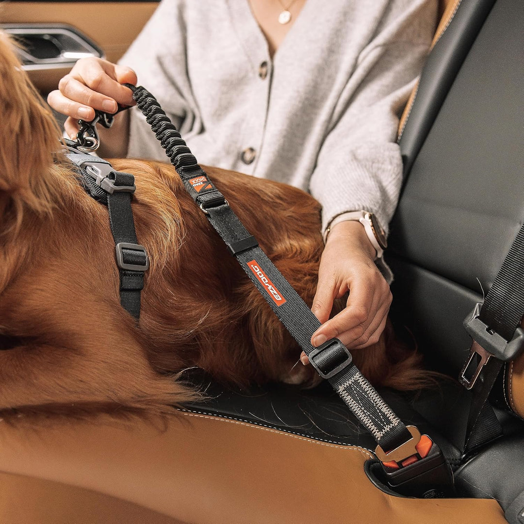 EzyDog Anschnallgurt Hund Auto – Click Zero Shock Hundeanschnaller mit Stossdämpfer, verstellbar, ko