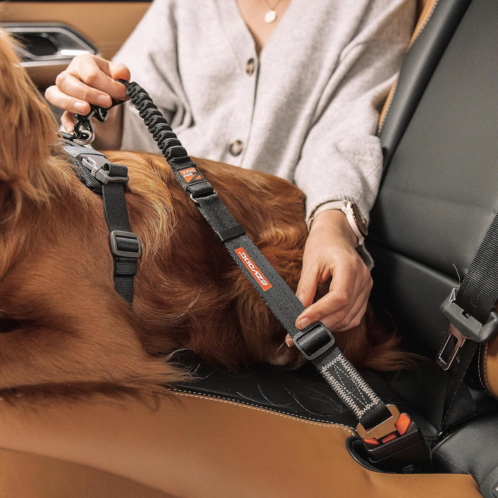 EzyDog Anschnallgurt Hund Auto – Click Zero Shock Hundeanschnaller mit Stossdämpfer, verstellbar, ko