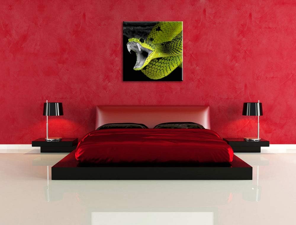 Pixxprint beeindruckende Schlange als Leinwandbild Quadratisch/Grösse: 70x70 / Wandbild/Kunstdruck/f