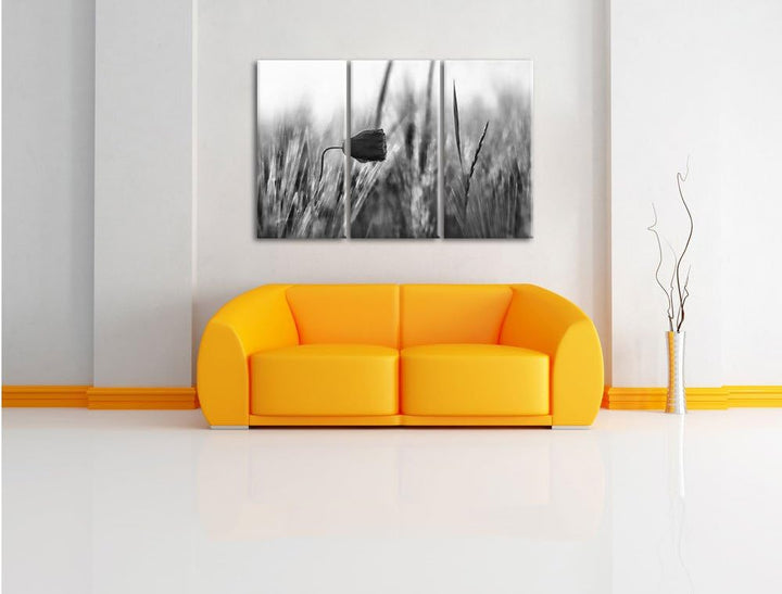 Pixxprint Monocrome, Einzelne rote Rose im Sonnenlicht 3-Teiler Leinwandbild 120x80 Bild auf Leinwan