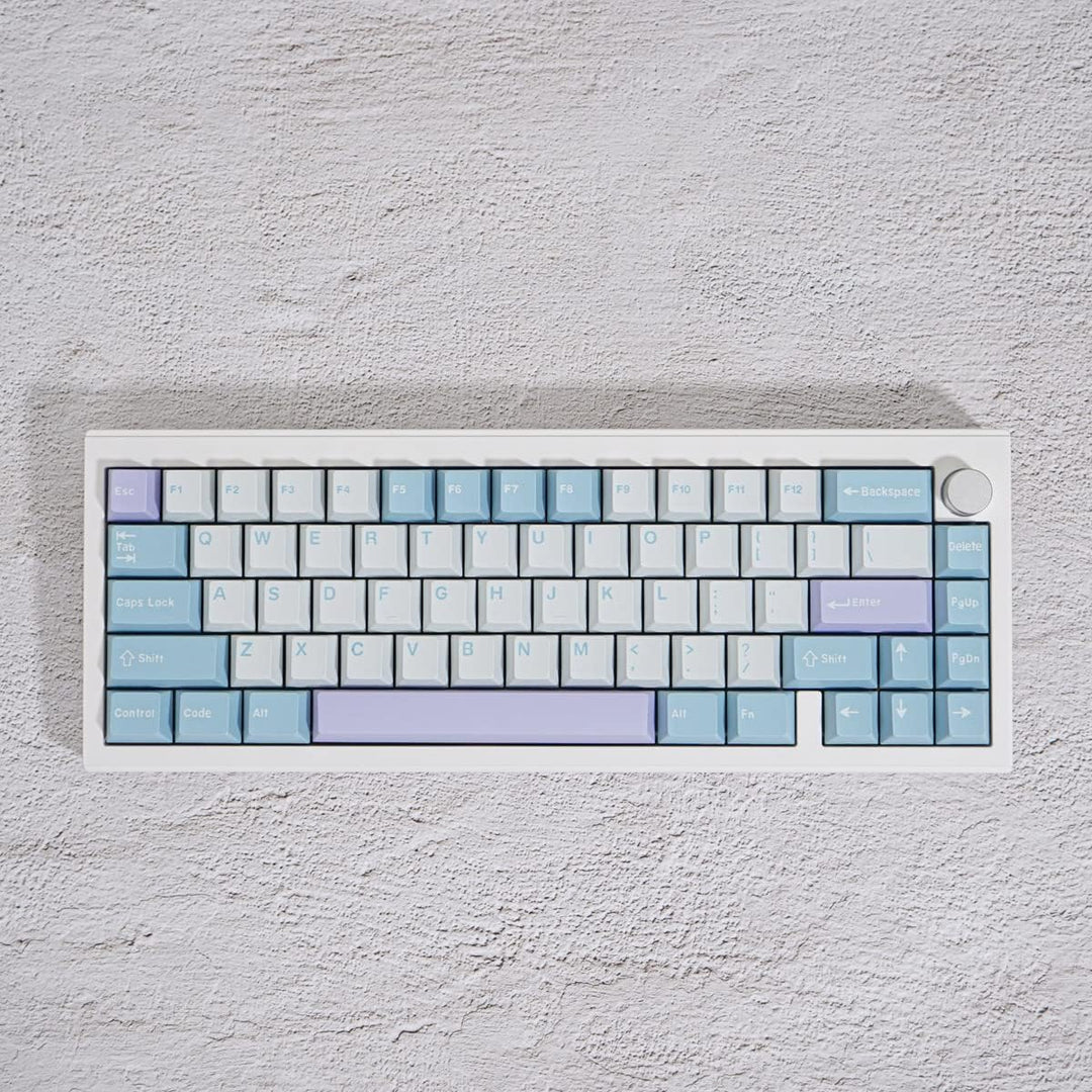 172 Tasten Double Shot Tastenkappen Cherry Profile Illusion Keycaps Fit for 61/64/87/104/108 Cherry