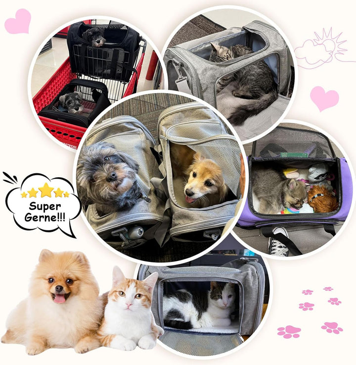 Lohofrnny Transporttasche Katze, Transportbox für Katze Hund, Katzentransporttasche, Faltbare Hausti