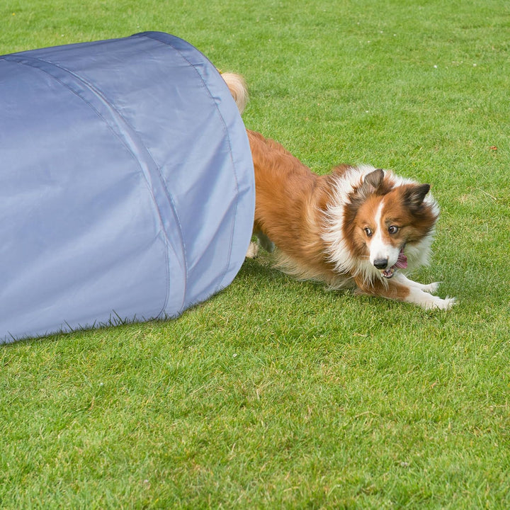 Relaxdays Hundetunnel, Spieltunnel für aktive Hunde, Hundetraining, 200 cm lang, Ø 40 cm, Faltbarer