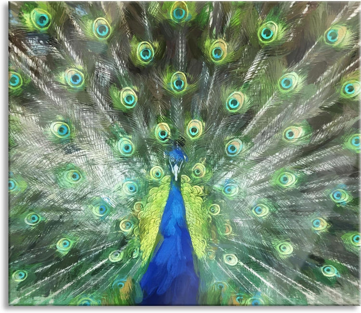 Pfau mit seinem Gefieder Herdabdeckplatte & Spritzschutz aus Echtglas | Für Herd-Kochfelder | 60x52