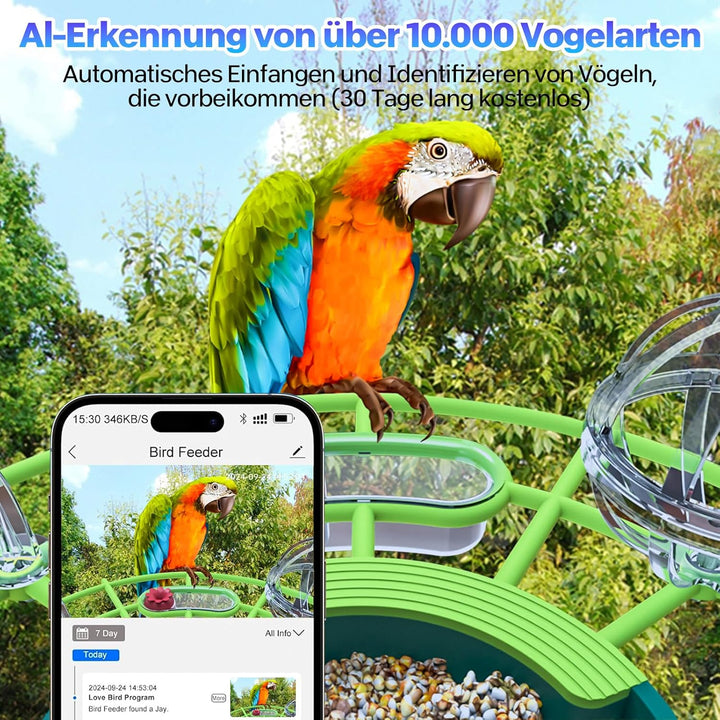 Vogelhaus mit Kamera Solar vogelhaus für den Aussenbereich, 4K mini vogelhaus Kamera, Wetterfest IP6