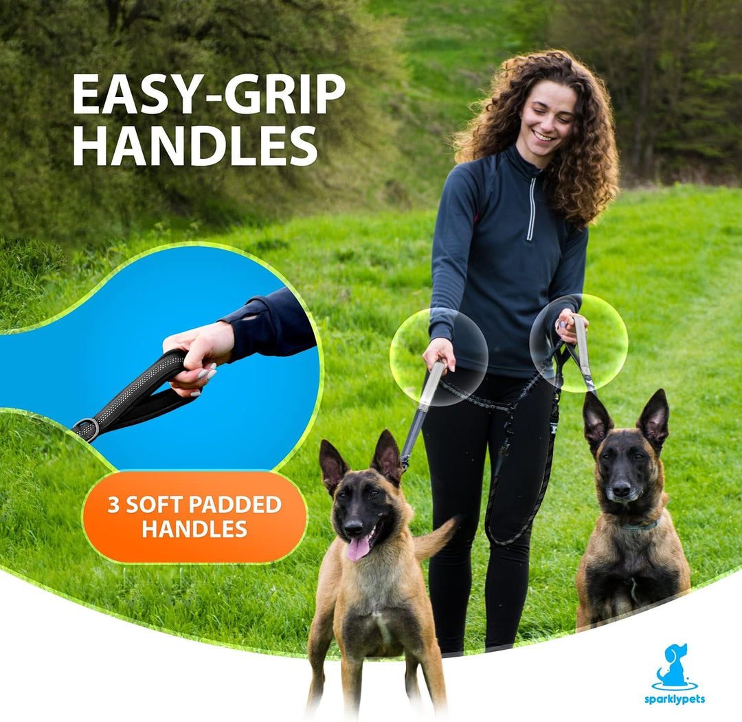 Hundeleine für 2 Hunde mit Bungee Verlängerung für Grosse und Mittelgrosse Hunde mit Ruckdämpfer | R