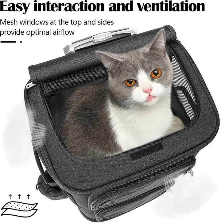 Katzenrucksack, Katzentrager Rucksack mit Zwei Fächern Haustier Hunde Katzen Rucksack Raumkapsel mit