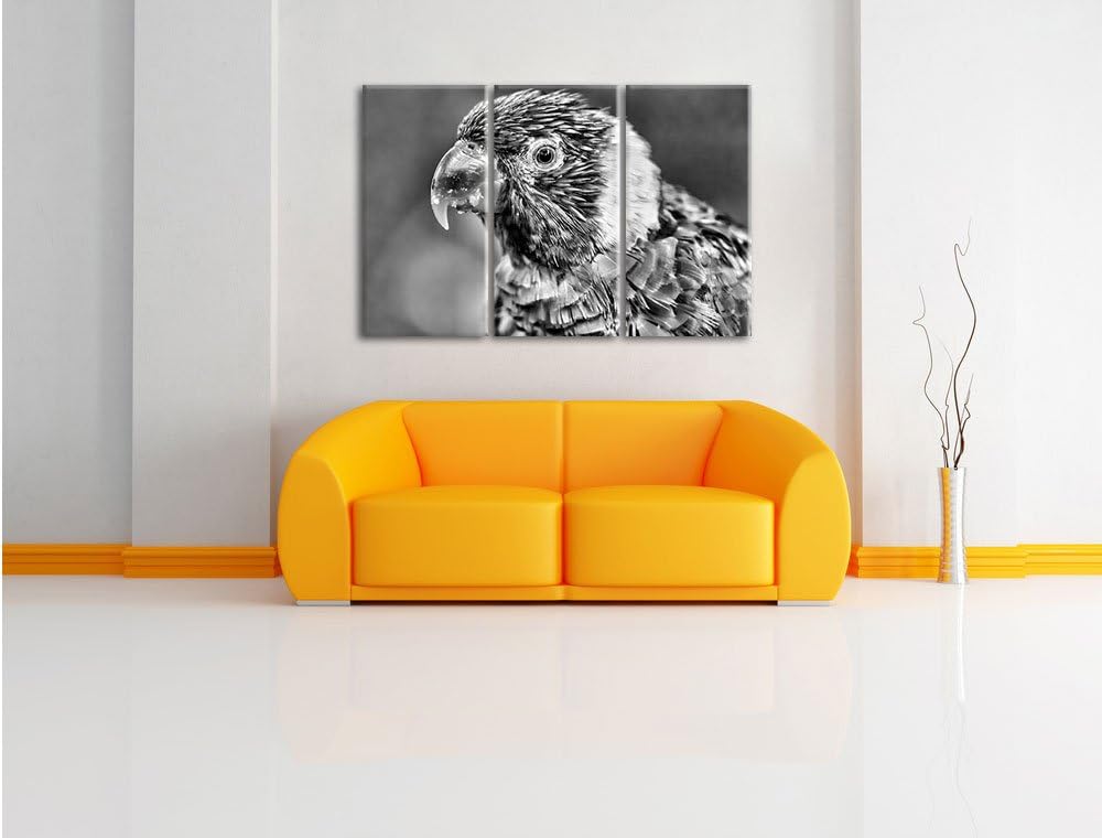 Pixxprint farbenfroher Papagei als Leinwandbild/Grösse: 3 Teilig (120x80) cm/Wandbild/Kunstdruck/fer