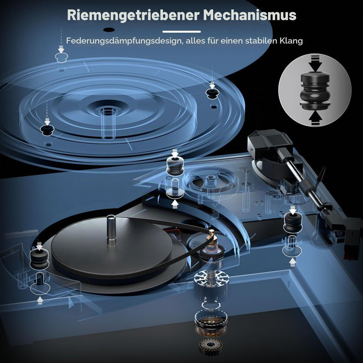 Plattenspieler, FYDEE Vinyl Plattenspieler mit Eingebauten Stereo-Lautsprechern, 3 Geschwindigkeiten