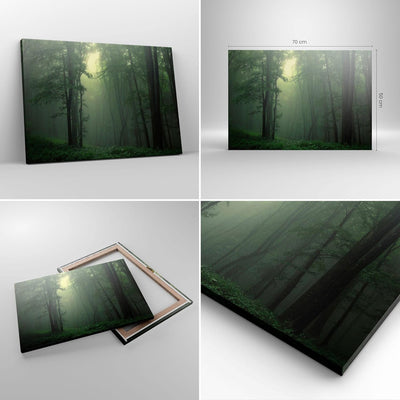 Bilder auf Leinwand Wald Nebel Baum Leinwandbild mit Rahmen 70x50cm Wandbilder Dekoration Wohnzimmer