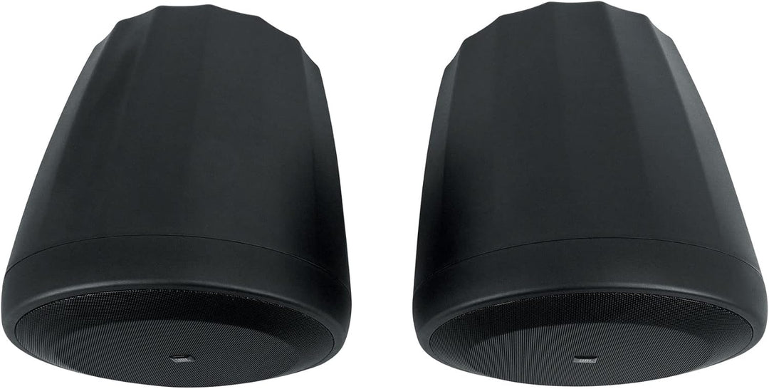 JBL Professioneller C60PS/T Hängender Subwoofer mit passiver Frequenzweiche, schwarz, paarweise Schw