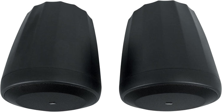JBL Professioneller C60PS/T Hängender Subwoofer mit passiver Frequenzweiche, schwarz, paarweise Schw