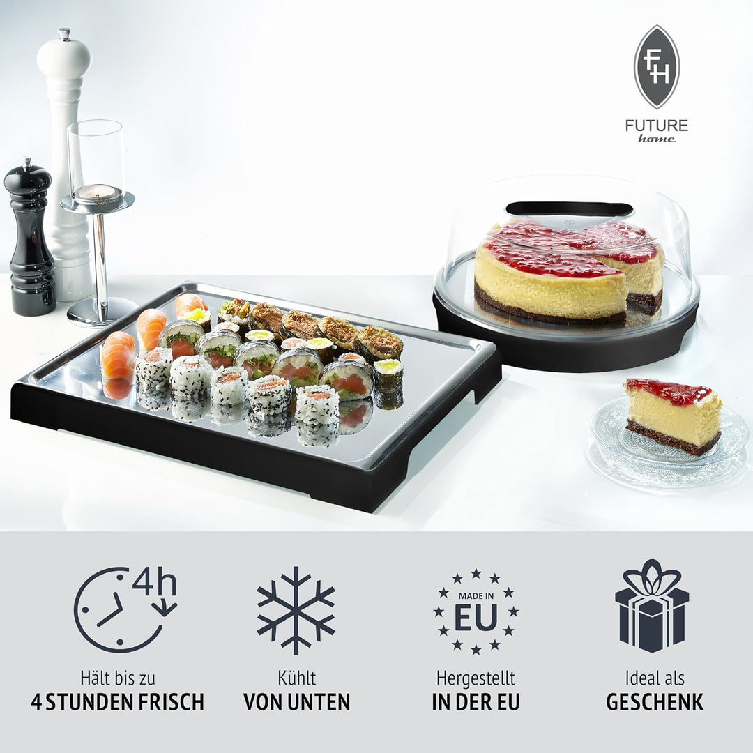 FH - Servierplatte mit Deckel - Kuchen Transportbox mit Kühlung, Kühlplatte mit Haube und Kühlakkus