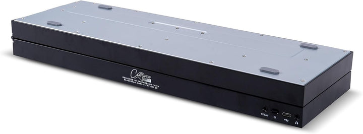 Blackstar FP-49 Touch 49 Tasten, berührungsempfindlich, tragbar, zusammenklappbar, mit USB-MIDI-Cont