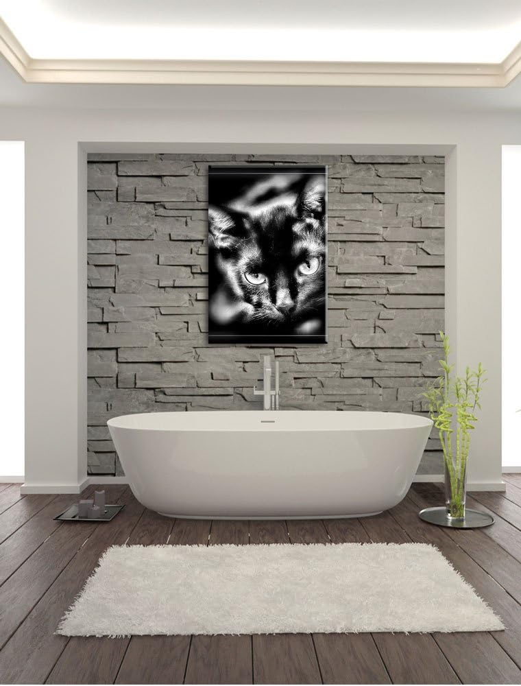 Pixxprint schöne Schwarze Katze als Leinwandbild/Grösse: 100x70 cm/Wandbild/Kunstdruck/fertig bespan