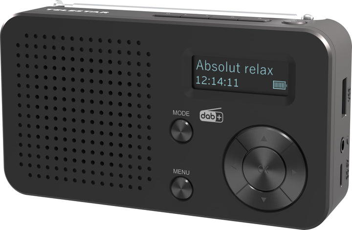 TELESTAR TOP 100 – Mobiles DAB+/UKW Radio (austauschbarer Akku, bis zu 15 Std. Spielzeit, kurzes Lad