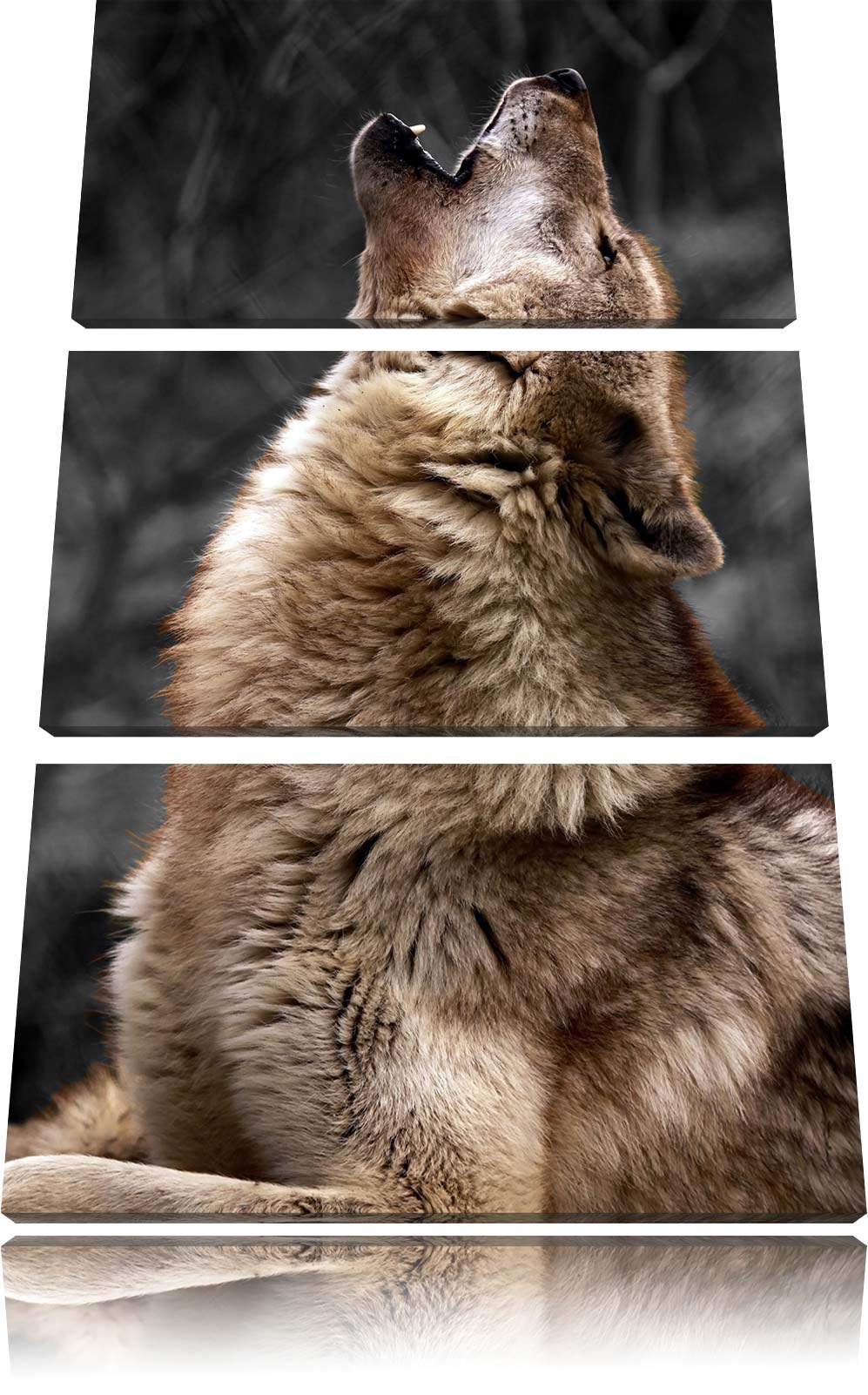 Anmutiger Heulender Wolf schwarz/weiss 3-Teiler Leinwandbild 120x80 Bild auf Leinwand, XXL riesige B