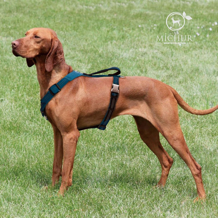 MICHUR Bruno Hunde BRUSTGESCHIRR Blau, Nylon Hundegeschirr, Neopren Polsterung, Schnell-klick-Schnal
