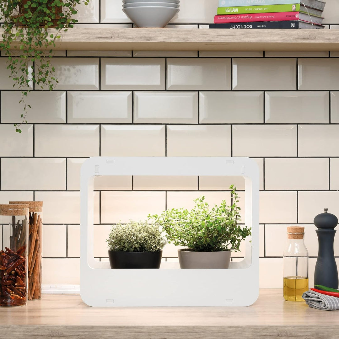 Romberg Homegarden mit LED-Beleuchtung | Zimmergewächshaus | Minigewächshaus | Weiss | 50.5 x 21 x 4