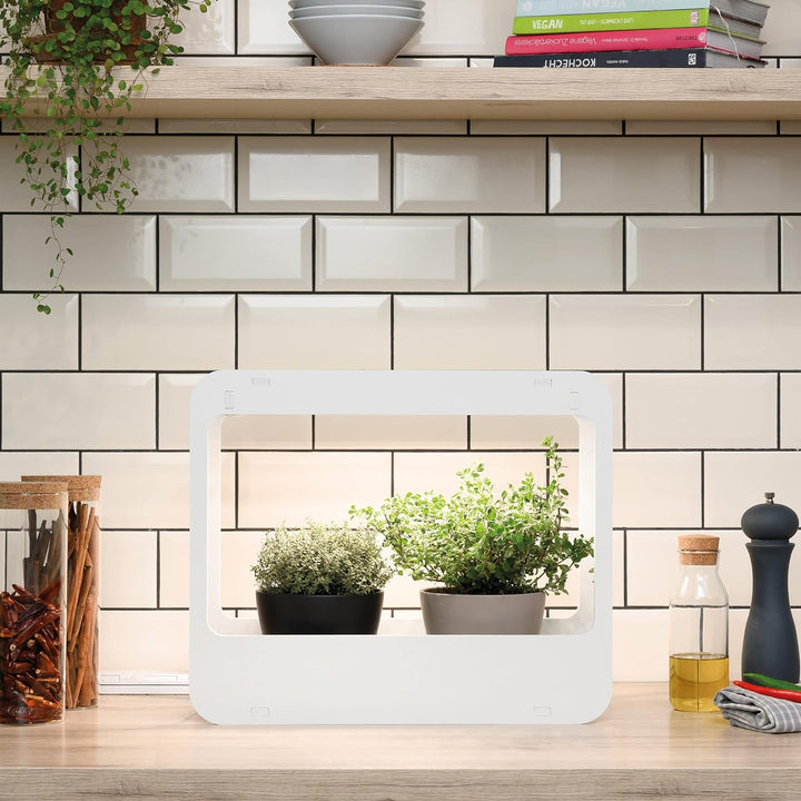 Romberg Homegarden mit LED-Beleuchtung | Zimmergewächshaus | Minigewächshaus | Weiss | 50.5 x 21 x 4