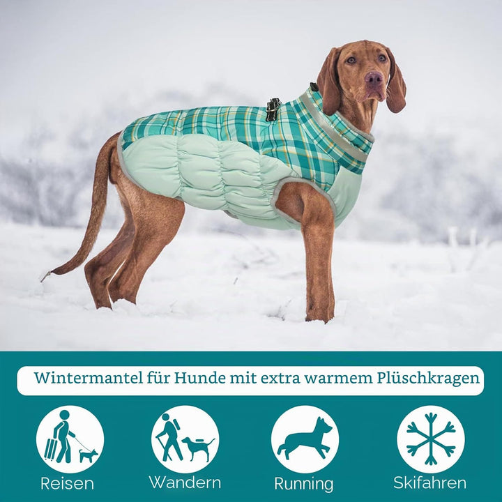 Kuoser Warme Hundejacke, Reflektierende Hundemantel, Winddichte Hundemantel für Kleine Hunde,Moden H