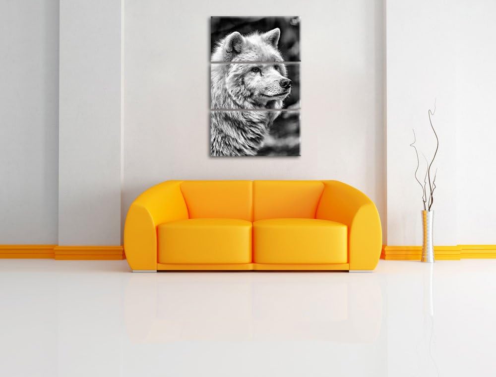 Pixxprint prächtiger Polarwolf als Leinwandbild/Grösse: 3 Teilig (120x80) cm/Wandbild/Kunstdruck/fer