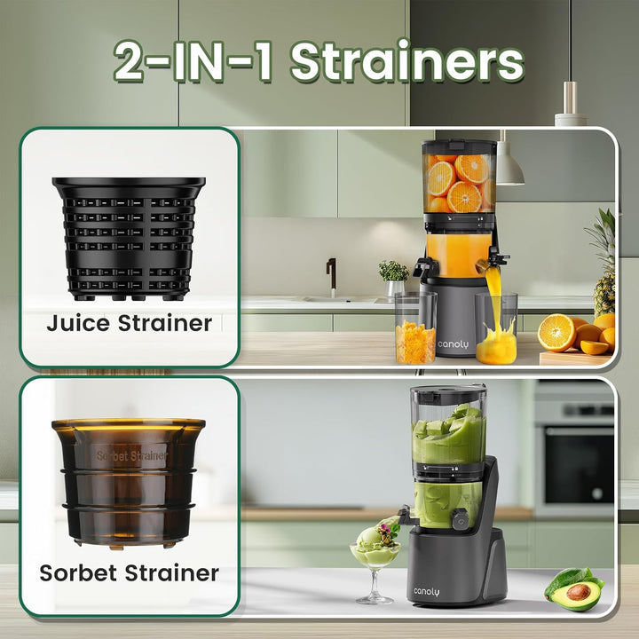 Entsafter Slow Juicer mit 6 Zoll Grosser Einfüllschacht Grau