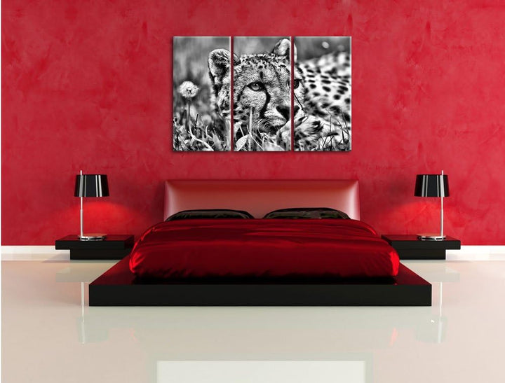 Pixxprint Monocrome, Gepard im Gras 3-Teiler Leinwandbild 120x80 Bild auf Leinwand