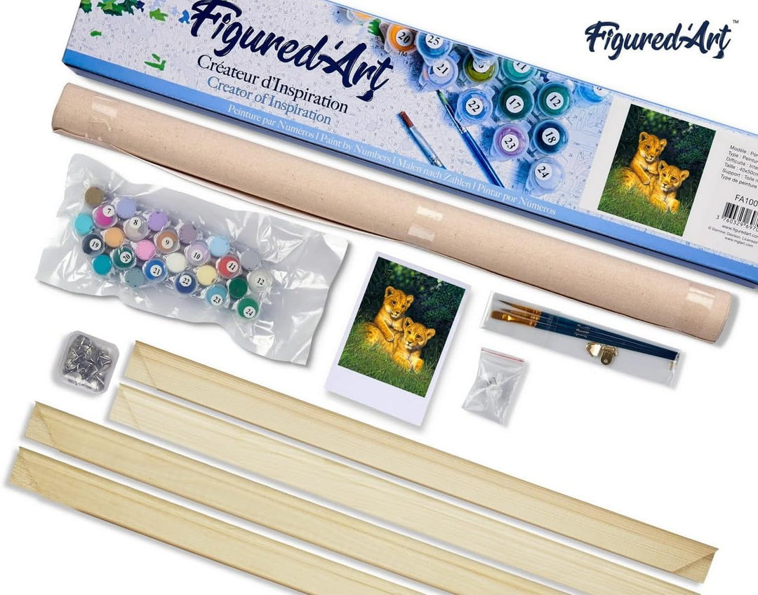 Figured'Art Malen Nach Zahlen Erwachsene Mit Rahmen Junge Löwen - Paint by Numbers Basteln DIY Baste