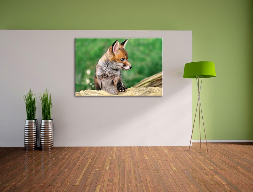 Pixxprint junger Fuchs auf Leinwand, XXL riesige Bilder fertig gerahmt mit Keilrahmen, Kunstdruck au